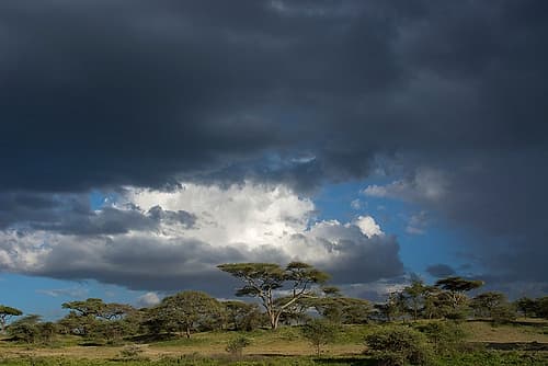 Rainstorm approaching Ndutu-Ngorongoro Conservation Area-Serengeti-Tanzania Art Print